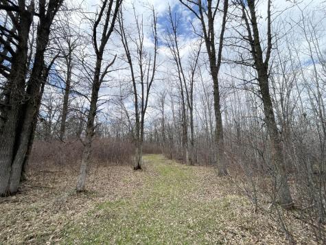 Tbd Boot Lake Road SW Bemidji MN 56601