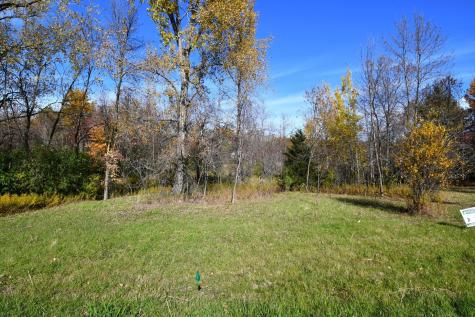 Tbd North Avenue Chisago City MN 55013