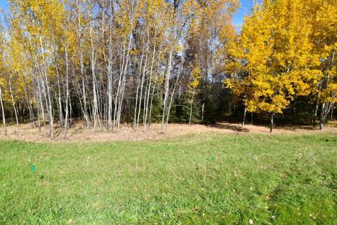 Tbd North Avenue Chisago City MN 55013