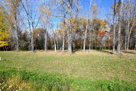 Tbd North Avenue Chisago City MN 55013