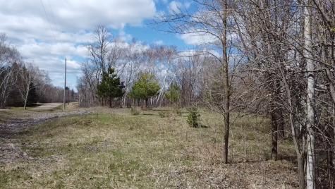 071153900 407th Place Aitkin MN 56431