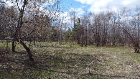 071153900 407th Place Aitkin MN 56431