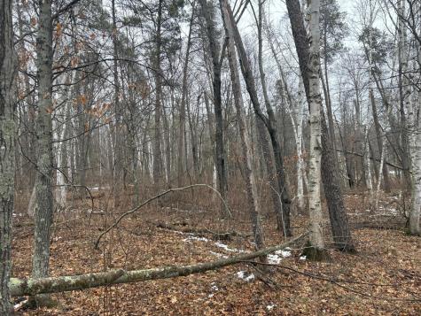 30XXX Rainier Drive Breezy Point MN 56472