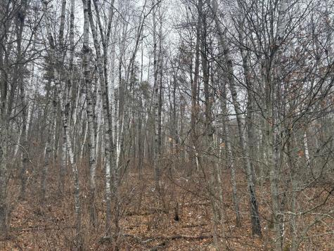 30XXX Rainier Drive Breezy Point MN 56472