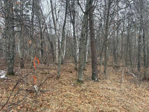 30XXX Rainier Drive Breezy Point MN 56472