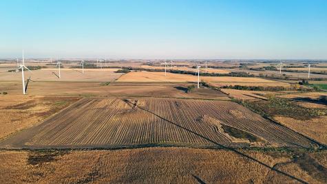 Tbd SE 54th Avenue Blooming Prairie MN 55917