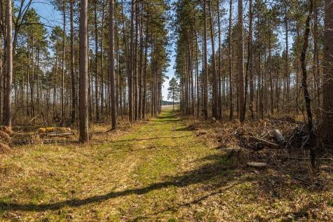 0 Prairie Road East Osseo WI 54758