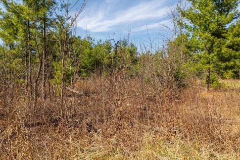 0 Prairie Road East Osseo WI 54758