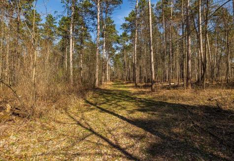 0 Prairie Road East Osseo WI 54758