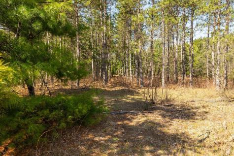 0 Prairie Road East Osseo WI 54758
