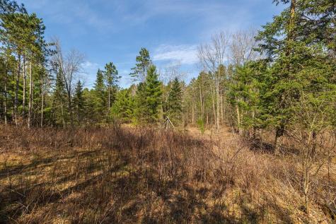 0 Prairie Road East Osseo WI 54758