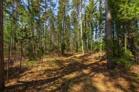 0 Prairie Road East Osseo WI 54758