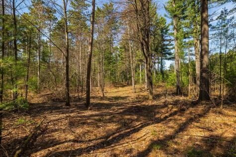 0 Prairie Road East Osseo WI 54758
