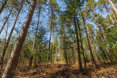 0 Prairie Road East Osseo WI 54758