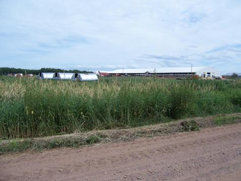 54479 Fairfield Avenue Rush City MN 55069