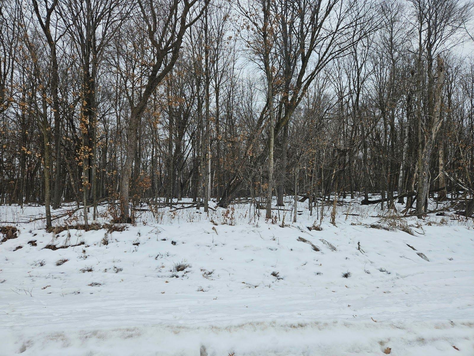 Lot 2, Block 2 2 1/2 Avenue NE Saint Stephen MN 56375