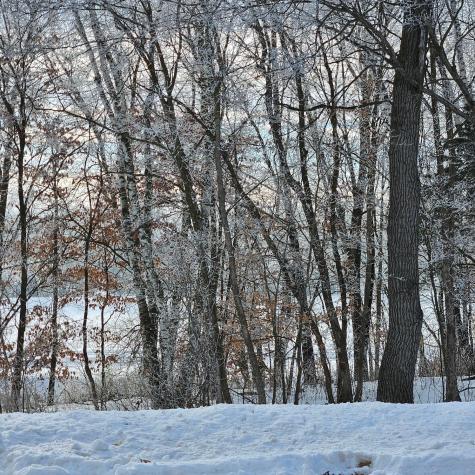Lot 2, Block 2 2 1/2 Avenue NE Saint Stephen MN 56375