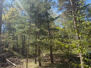 8293 Interlachen Road Lake Shore MN 56468
