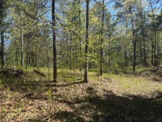 8293 Interlachen Road Lake Shore MN 56468