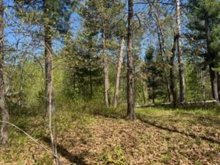8293 Interlachen Road Lake Shore MN 56468