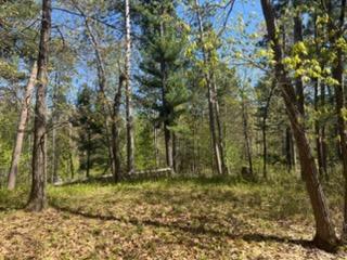8293 Interlachen Road Lake Shore MN 56468