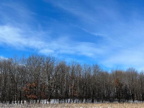 169XX Lake Boulevard Shafer MN 55074