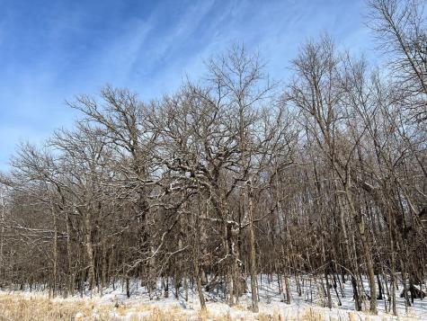 169XX Lake Boulevard Shafer MN 55074