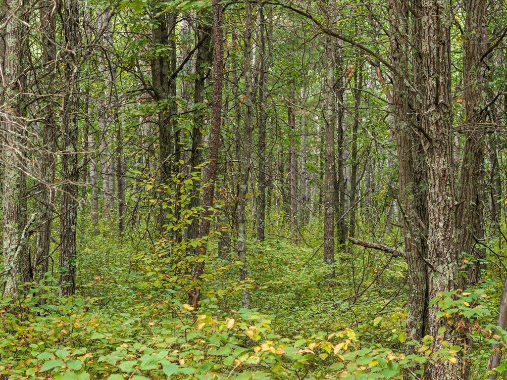 Lot E Sandbar Lane Merrifield MN 56465