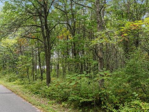 Lot E Sandbar Lane Merrifield MN 56465