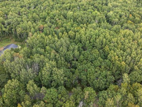 Lot E Sandbar Lane Merrifield MN 56465