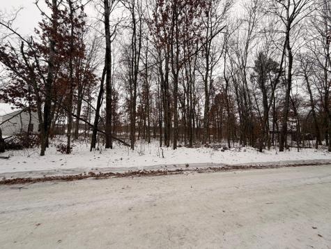 Lot E Sandbar Lane Merrifield MN 56465