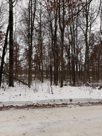 Lot E Sandbar Lane Merrifield MN 56465
