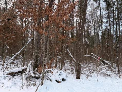 Lot E Sandbar Lane Merrifield MN 56465