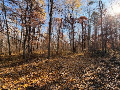 Lot E Sandbar Lane Merrifield MN 56465