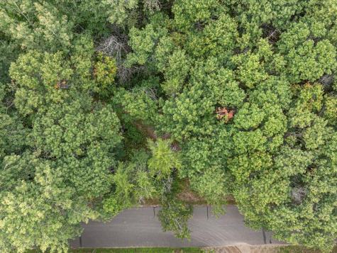 Lot E Sandbar Lane Merrifield MN 56465