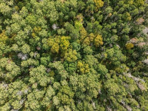 Lot E Sandbar Lane Merrifield MN 56465