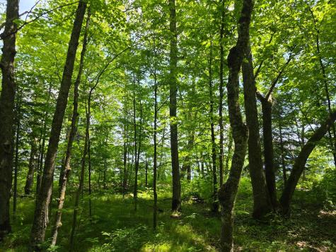 Tbd N Moose Lake Road NE Pennington MN 56663