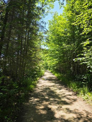 Tbd N Moose Lake Road NE Pennington MN 56663