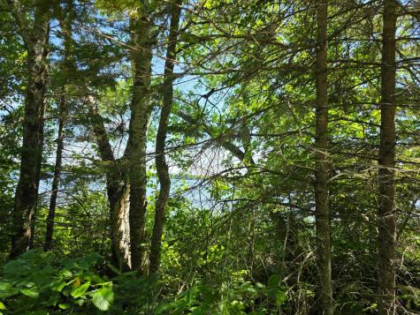 Tbd N Moose Lake Road NE Pennington MN 56663