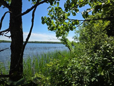 Tbd N Moose Lake Road NE Pennington MN 56663