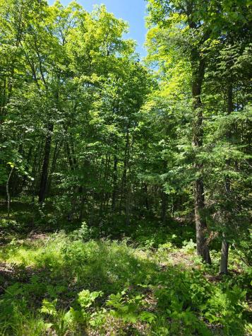 Tbd N Moose Lake Road NE Pennington MN 56663