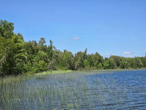 Tbd N Moose Lake Road NE Pennington MN 56663