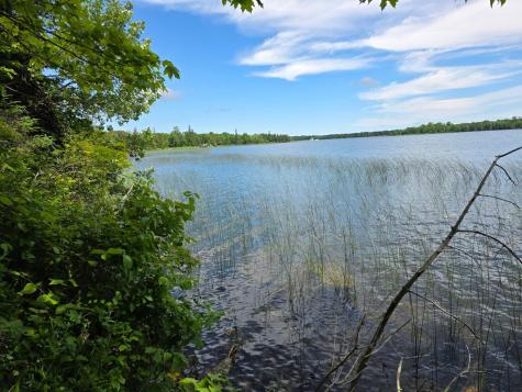 Tbd N Moose Lake Road NE Pennington MN 56663