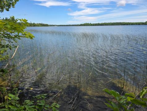Tbd N Moose Lake Road NE Pennington MN 56663