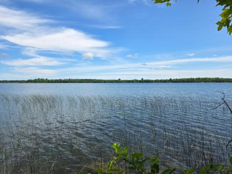 Tbd N Moose Lake Road NE Pennington MN 56663