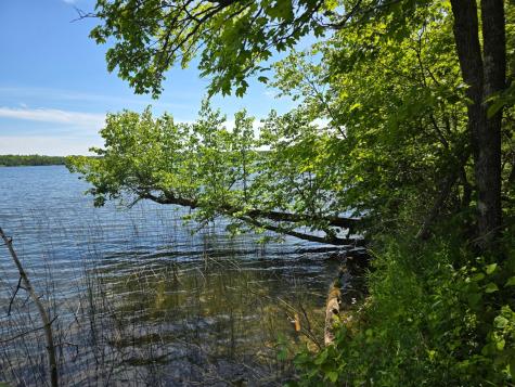 Tbd N Moose Lake Road NE Pennington MN 56663