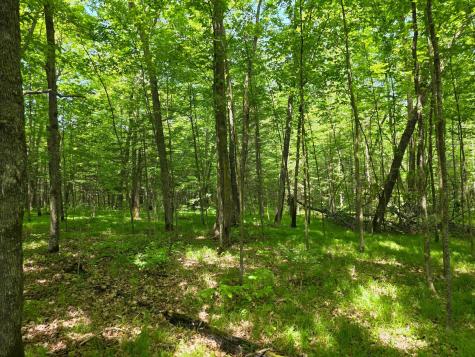 Tbd N Moose Lake Road NE Pennington MN 56663