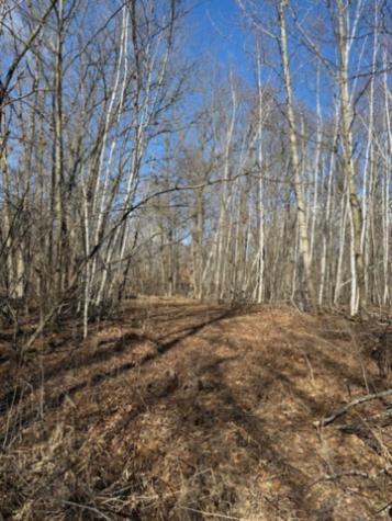 Tbd Woodchuck Trail Cushing MN 56443