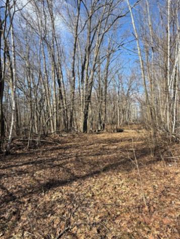 Tbd Woodchuck Trail Cushing MN 56443