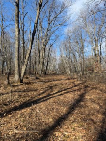 Tbd Woodchuck Trail Cushing MN 56443